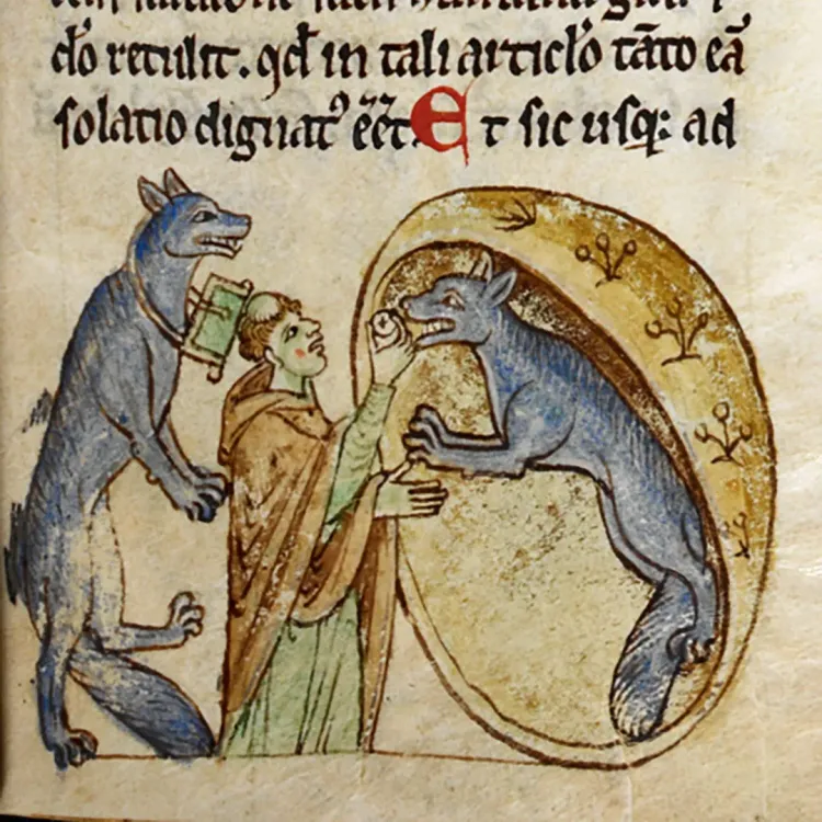Die Geschichte des Werwolfs. Eine Sagengestalt vor Gericht