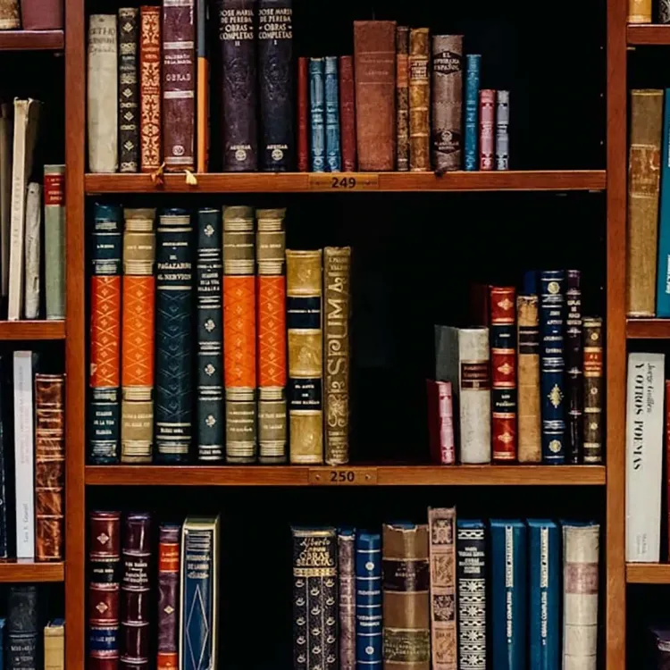 Bibliotheken. Wissensspeicher der Geschichte