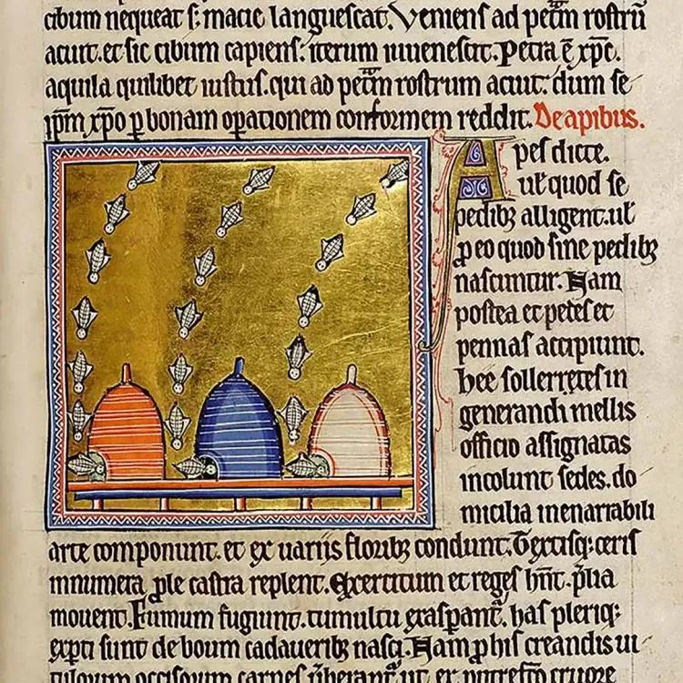 Kaiser – Zeidler – Klöster. Bienen und Honig im Mittelalter