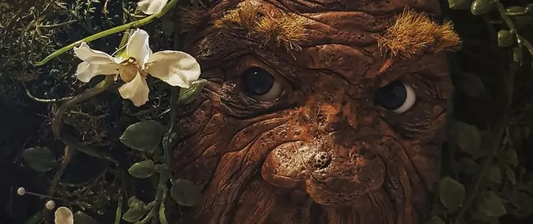 ›Fast vergessene Kreaturen‹ in Bad Wildungen