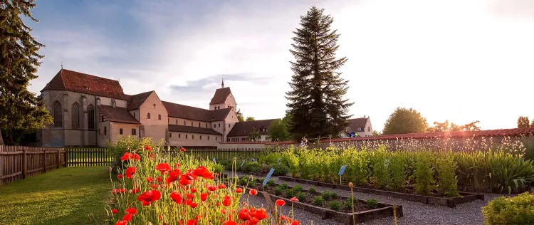 Neue Themenreihe: Klosterkultur im Mittelalter