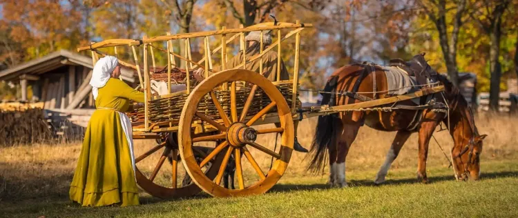 Veranstaltung ›Die beuerische Empörung: Bauern auf dem Steinsberg‹