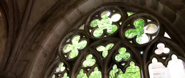 Vortragsreihe im Kloster Maulbronn