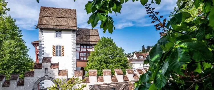 ›hûs, stat, fëld – Mittelalter in der Zentralschweiz‹ im Museum Burg Zug