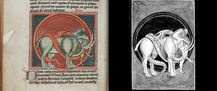 Von Drachen: ›Introducing the Medieval Dragon‹ von Thomas Honegger