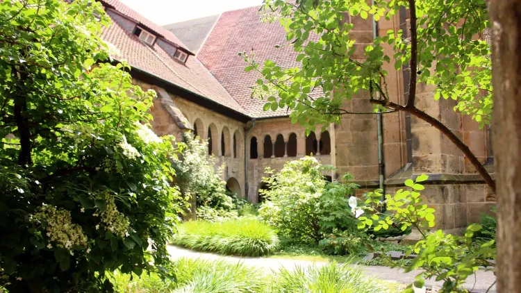 Wunderschönes Mittelalter: Dom und Dommuseum Hildesheim